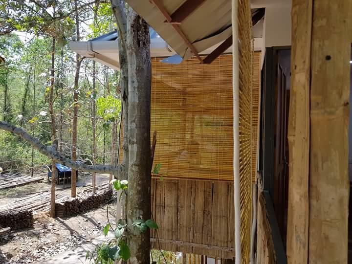 Ponmudi Valley Resorts Zewnętrze zdjęcie